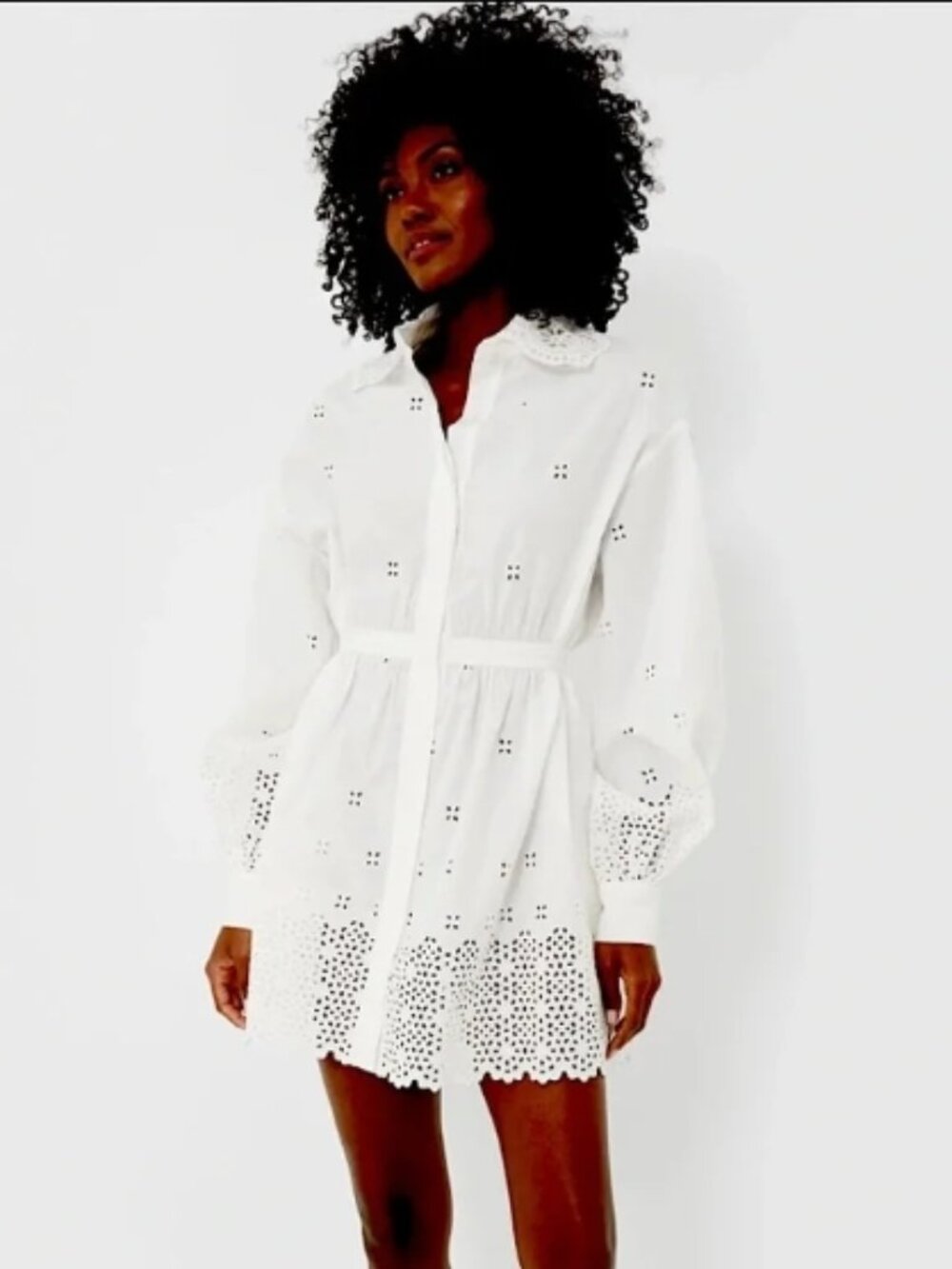 NWOT ULLA JOHNSON Gemma Broderie Anglaise Mini Dress in Cowrie XS $490
